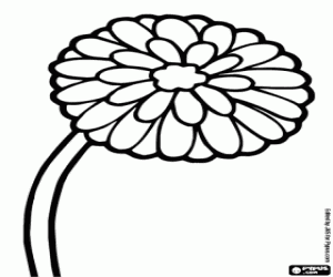 Dandelion flower coloring page