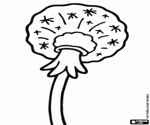 Dandelion seeds coloring page