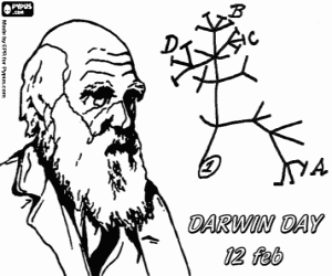 Darwin's tree of evolution coloring page