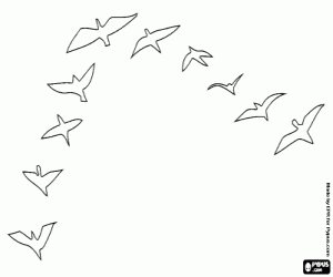 The day of migratory birds coloring page