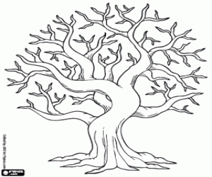 Deciduous tree in autumn, in fall  coloring page