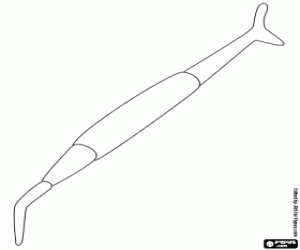 Dentist's working tool coloring page