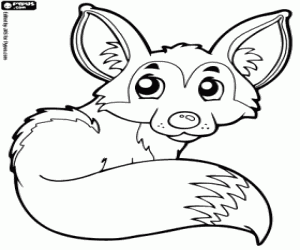 Desert fox coloring page