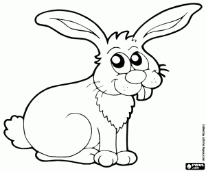 A desert rabbit coloring page