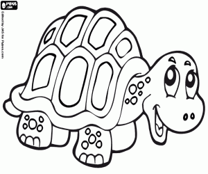A desert turtle coloring page