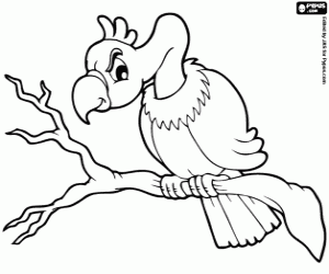 Desert vulture coloring page