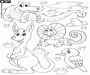 Different animals of Australia coloring page