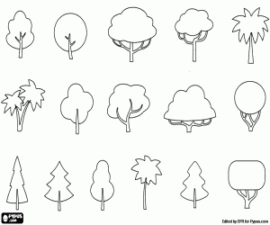 Different forms of trees coloring page