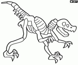 Dinosaur Skeleton coloring page
