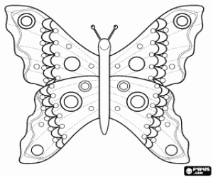 Dissected butterfly coloring page
