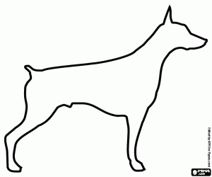 A Doberman dog, its silhouette coloring page