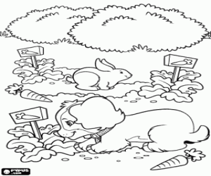 A dog, a rabbit and the carrots coloring page