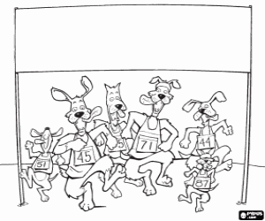 Dogs and athletics coloring page
