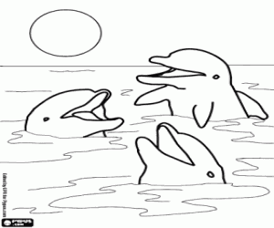 Dolphins with heads out of water coloring page