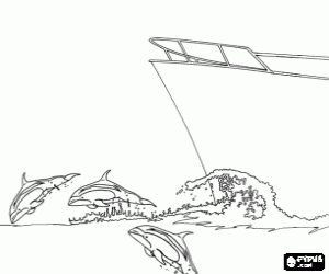 The dolphins next to a boat coloring page