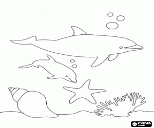 Dolphins swimming in the sea bed coloring page