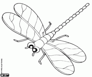 The dragonfly flying coloring page