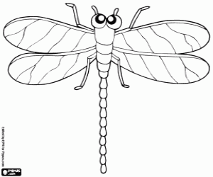 Dragonfly with four wings coloring page