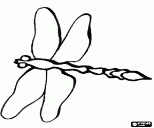 Dragonfly coloring page