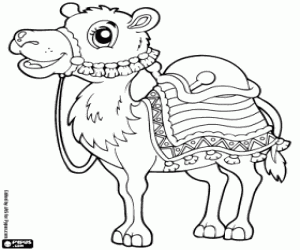 Dromedary coloring page