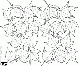 Dry leaves on the ground in autumn coloring page