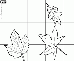 Dry leaves on the pavement coloring page