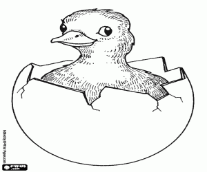 A duckling in the egg coloring page