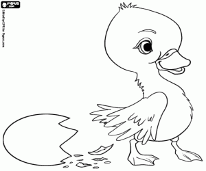 A duckling out of the eggshell coloring page