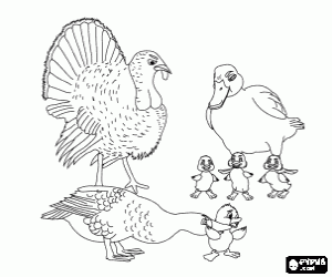 The duckling feels different coloring page
