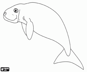 Dugong, an Indian Ocean animal coloring page