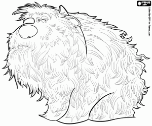 Duke, a large and hairy dog coloring page
