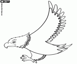 Eagle coloring page