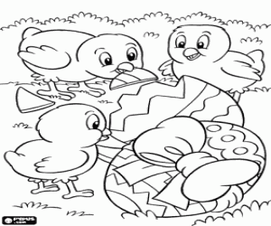 Easter eggs and chicks coloring page