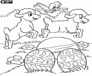 Easter eggs, lambs and bird coloring page