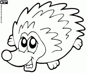An Echidna, an oviparous mammal coloring page