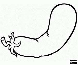 Eggplant, an edible fruit coloring page
