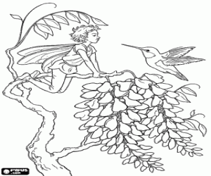 The elf and the hummingbird coloring page