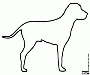 English Pointer dog silhouette coloring page