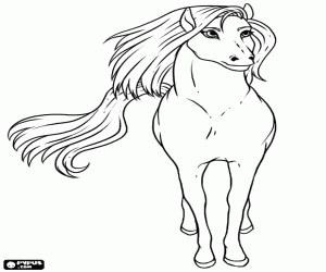 An extraordinary wild horse coloring page