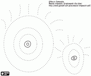 The eyes on dotted line coloring page