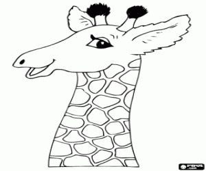 Face of beautiful smiling giraffe coloring page