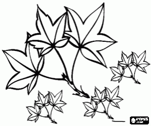Fallen leaves or dried, autumn leaves coloring page