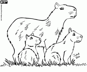 Family of capybaras coloring page