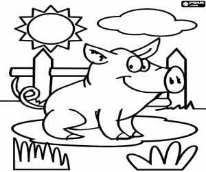 A farm piglet coloring page