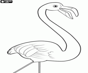 Featherstone, a lonely flamingo coloring page