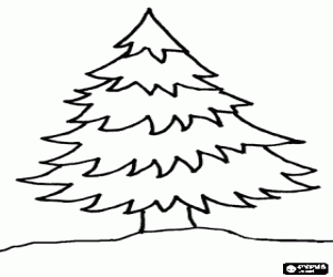 Fir - Christmas tree coloring page