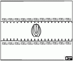 Flag of Iran coloring page