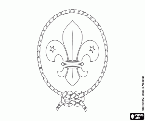 The flag of the scout movement coloring page