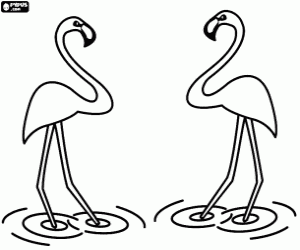 The flamingos in calm waters coloring page