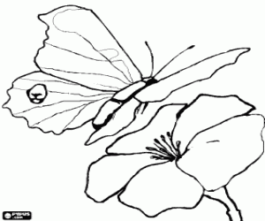 The flight of the butterfly coloring page